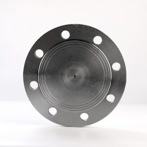 Mặt bích đặc thép pn10