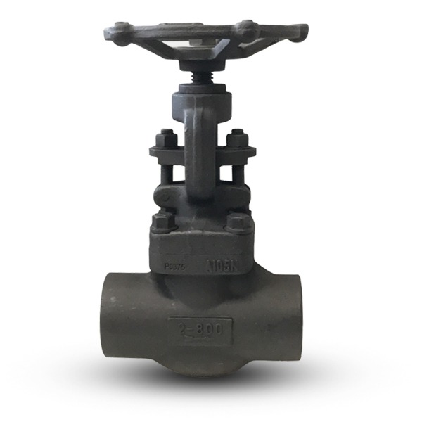 Van cầu thép rèn SW A105