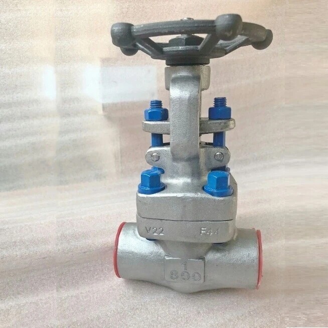 Van cổng A182 F304 800LB NPT 