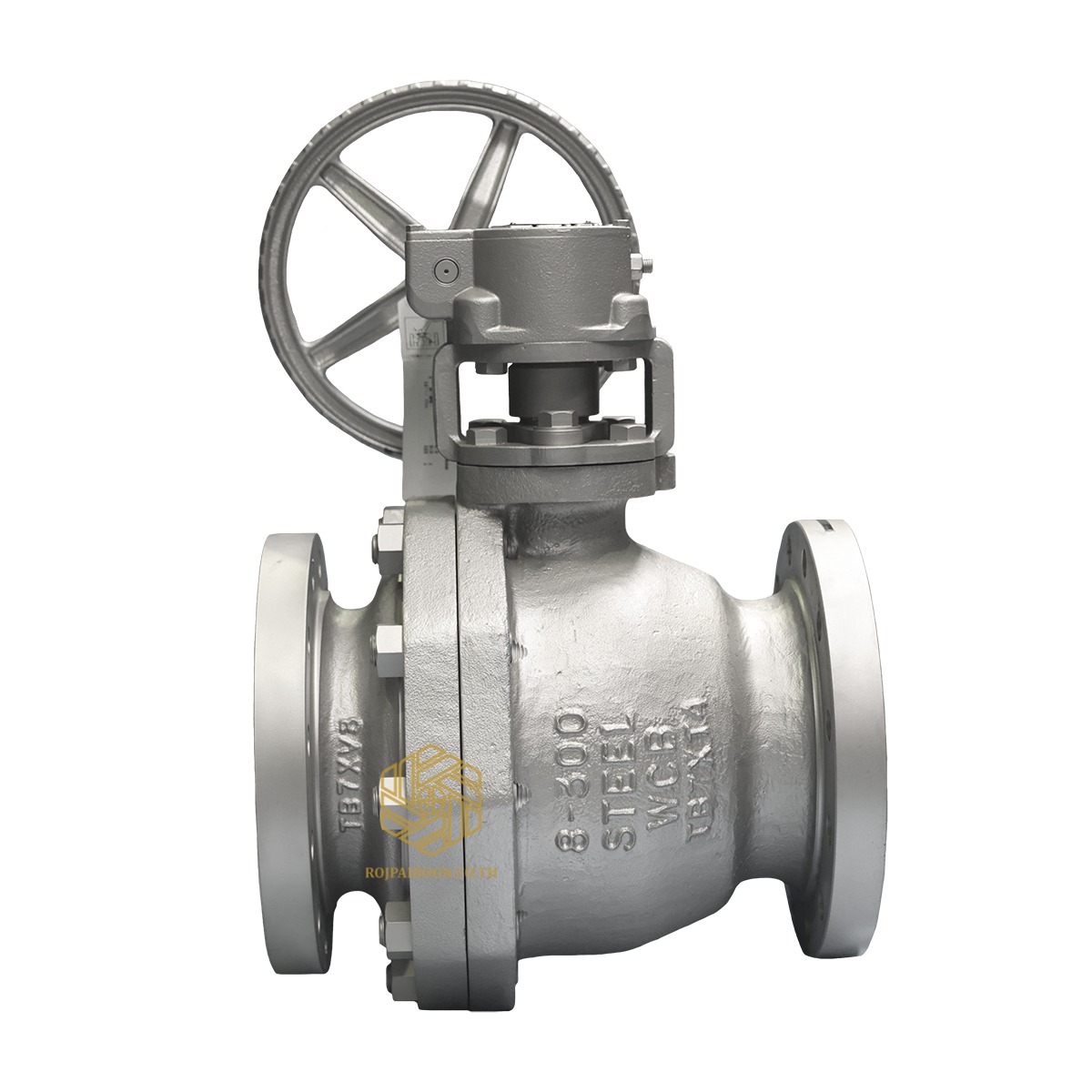 Van bi thép đúc A216